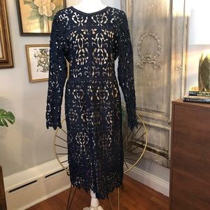 Alexis Admor Navy and Champagne Dress